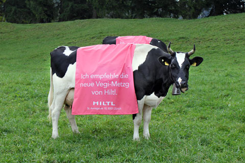 1.hiltl_.6