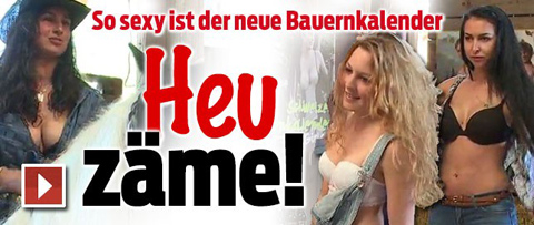 12---3737056-TT-Bauernkalender-quer