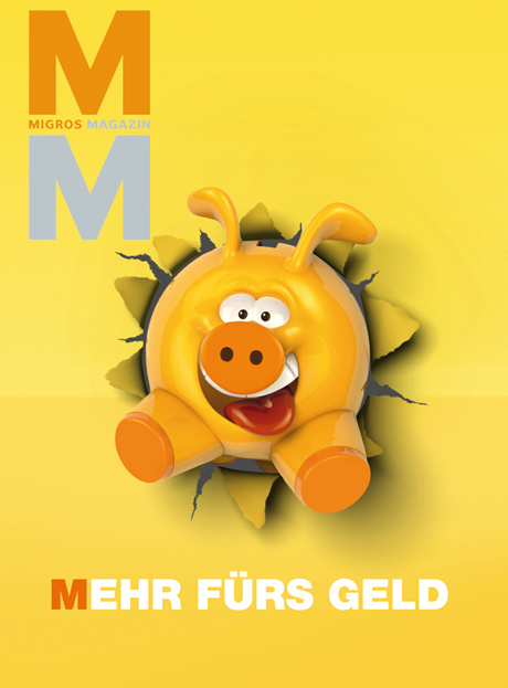 1290580840_img100628_migros1