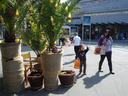 1290580842_img100625_passaia3