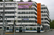 1290580929_img100507_muttertag1