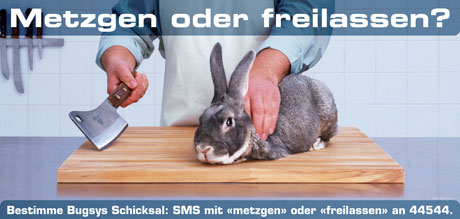 1290580936_img100505_sonicht3