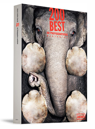 1290580953_img100426_cover