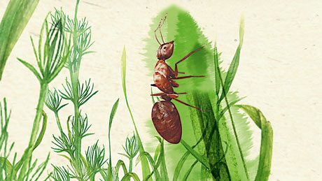 1290581006_img100324_wwf2
