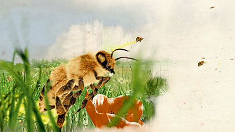 1290581006_img100324_wwf4