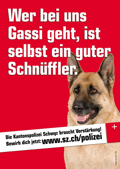 1290581299_img091106_kapo2