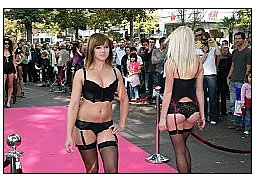 1290581413_img090921_zgl