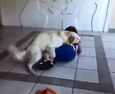 1290581715_img090514_hund