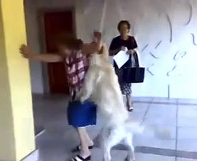 1290581715_img090514_hund3