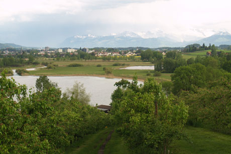 1290581724_img090513_sl3