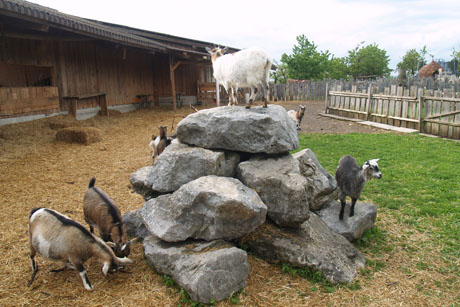 1290581724_img090513_sl9