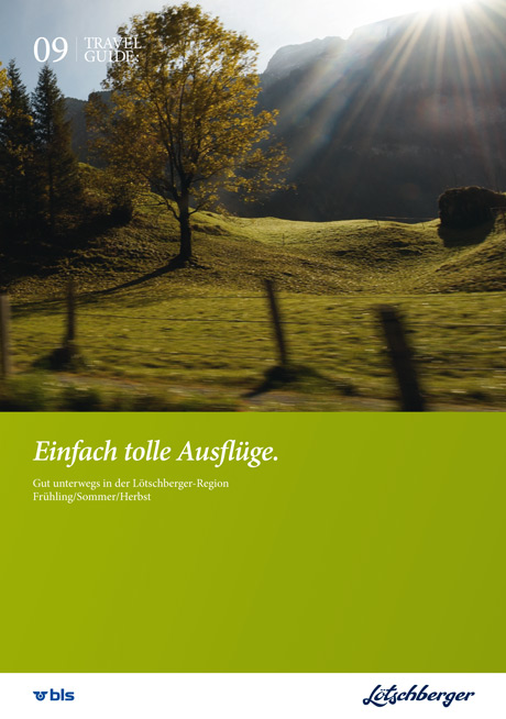 1290581748_img090506_bls3