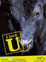 1292852056_img101103_loveu3