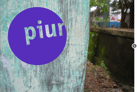 1292852083_img101129_piur