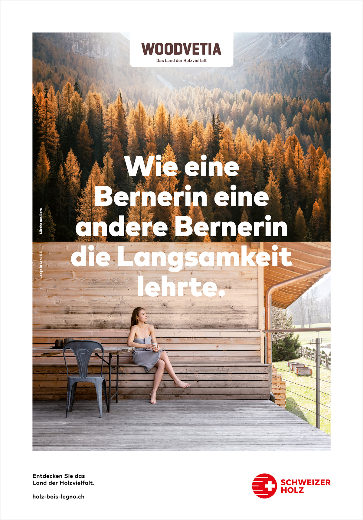 Schweizer_Holz_Plakat-F4-04