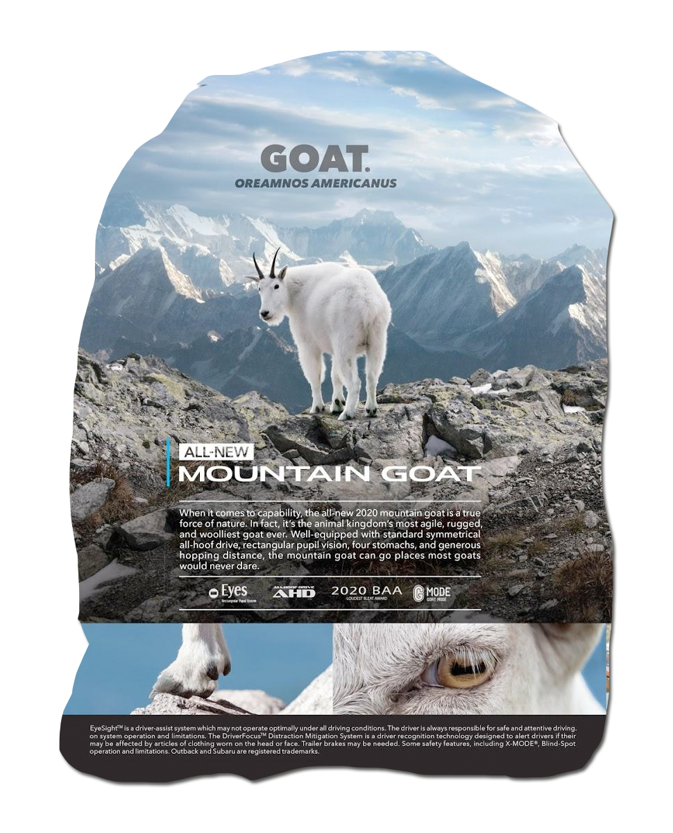 goat