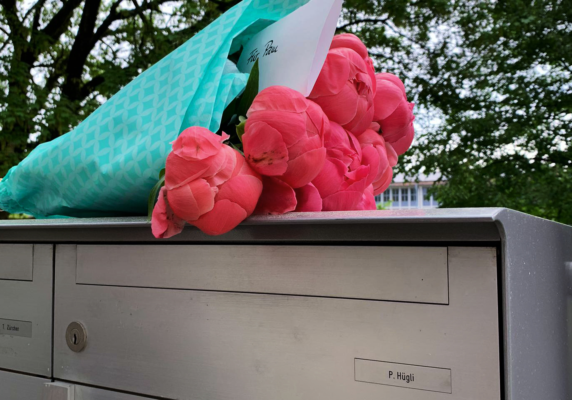 Grüsse aus dem Homeoffice