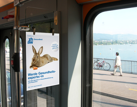 DSCN5169-Hase