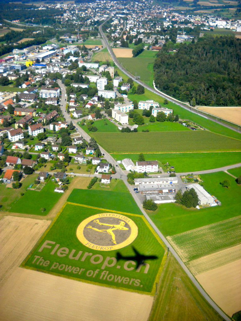 Fleurop-FW09-FH-ZH