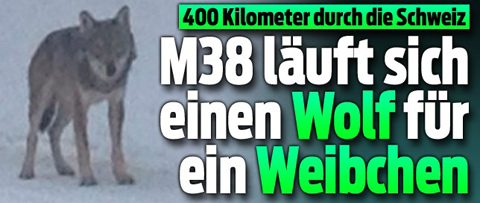 M38