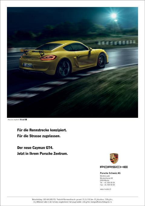 RZ_porsche_panamera_inserat_A4_haendler_D3