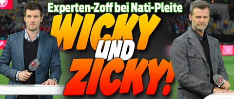 TT-3186985-wicky-zicky