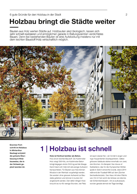 Timbatec_Newsletter-2