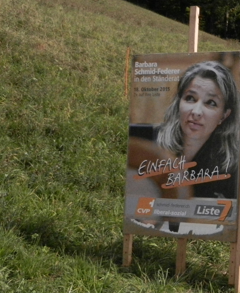 Wahlplakate-2015-003-1