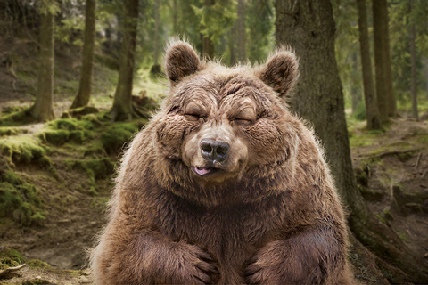 baer_klein