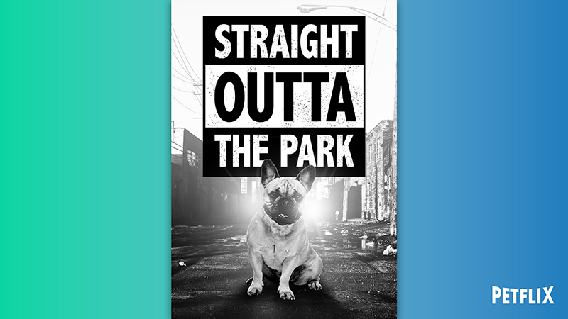 03-Straight-outta