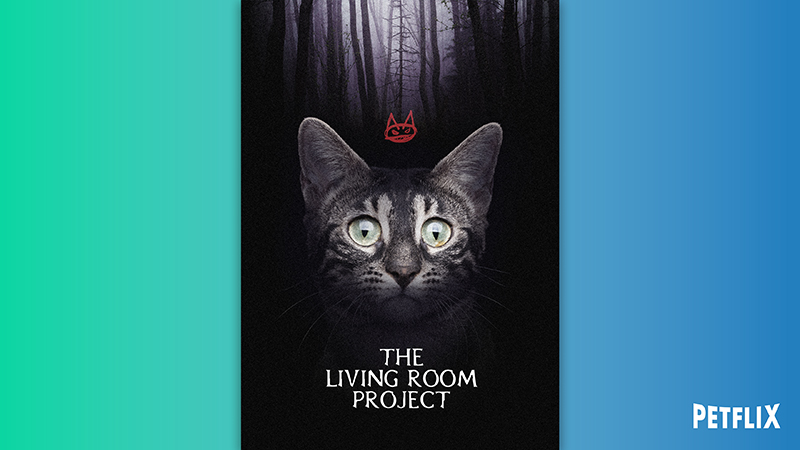 04-Lving-Room-Project