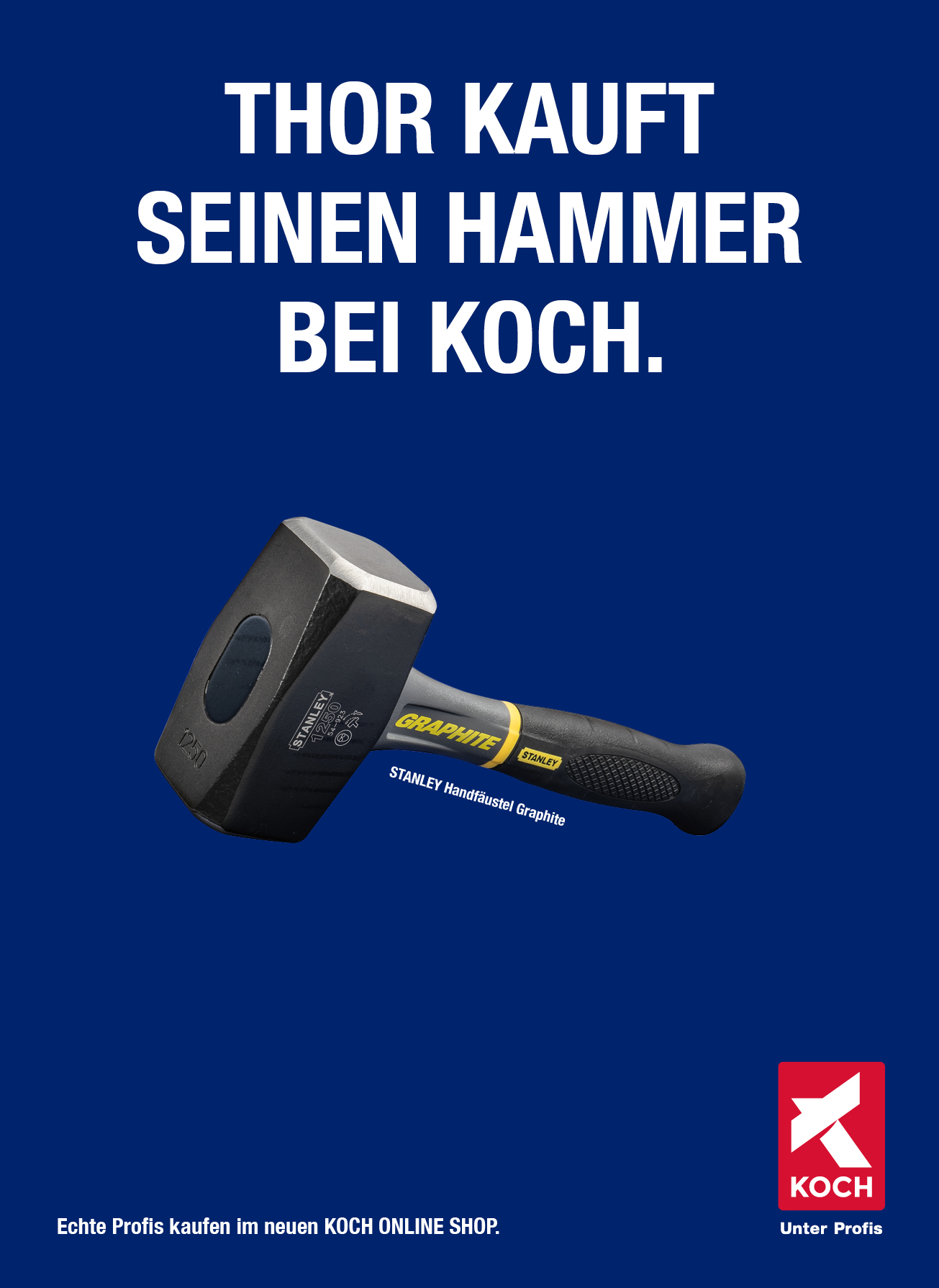 05 Dachcom_Koch_Anzeige_Thor