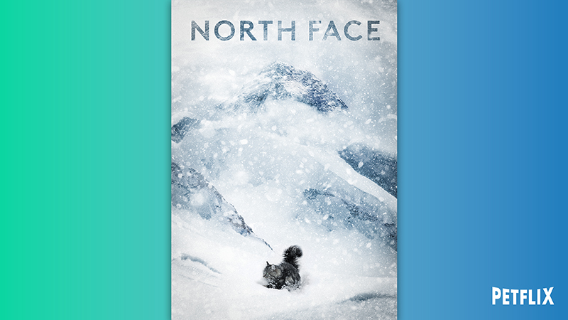 05-North-Face