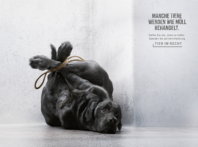 4-2_Tier-im-Recht_Muellsaecke_1_Hund