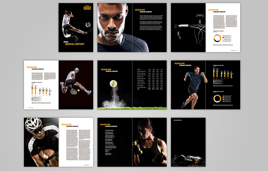 signa_case_annual_report_overview_940x600