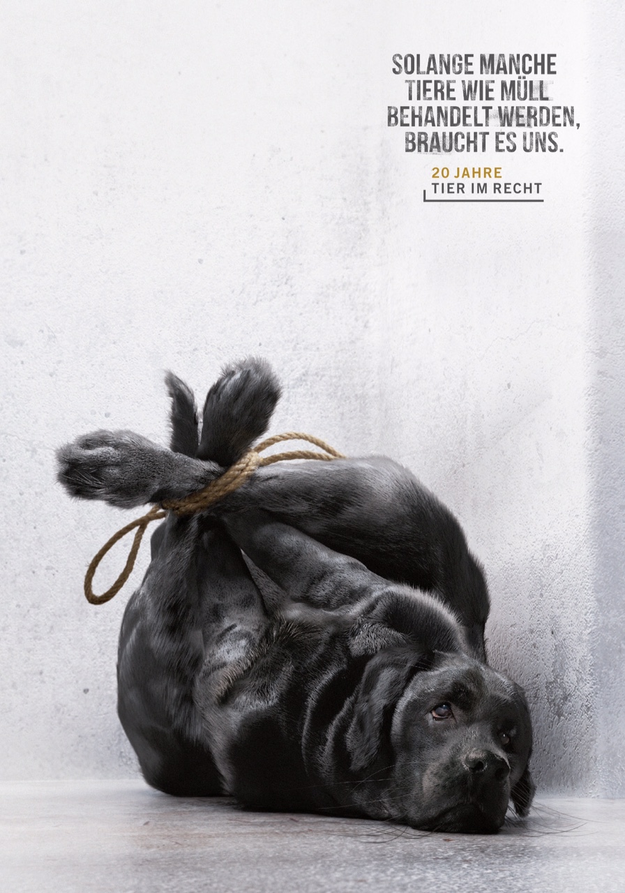 SwissPosterAward_PosteroftheYear_praemiertesSiegersujet_Hund