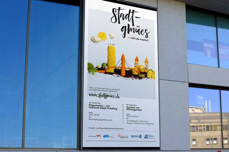 Tollkirsch_Stadtgmues_Screen