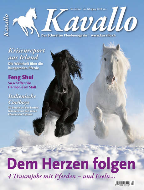 kavallo