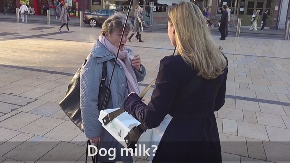 dogmilk2