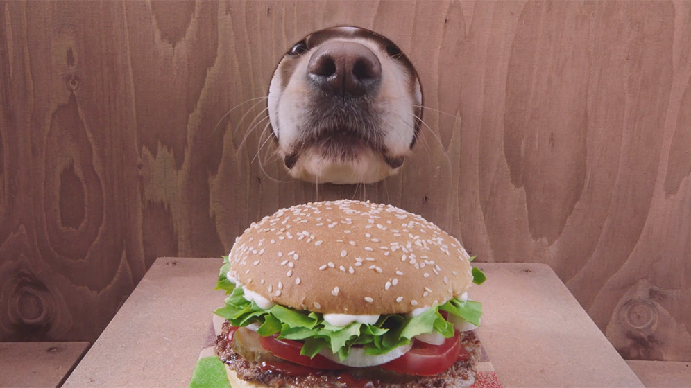whopperdog