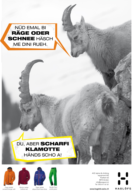 steinbock2