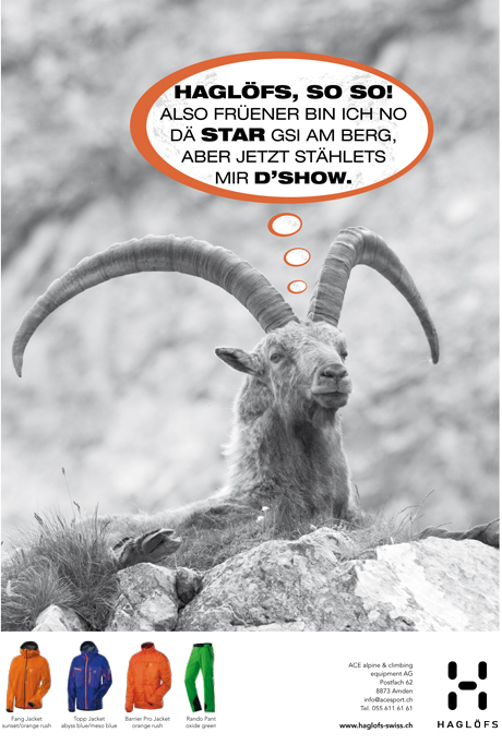steinbock3