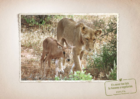 tiere2