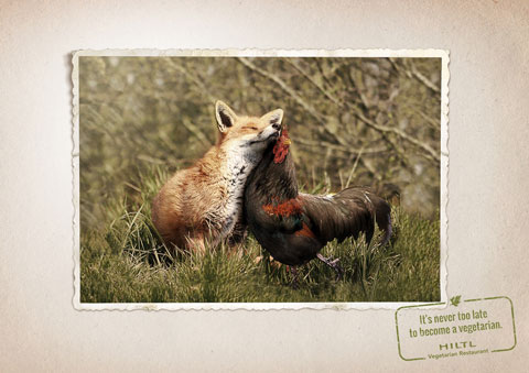 tiere3