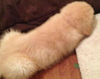 zgl_12