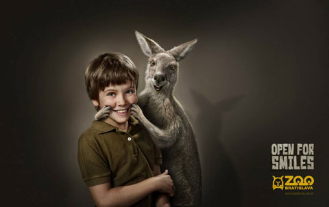 zoo1_1