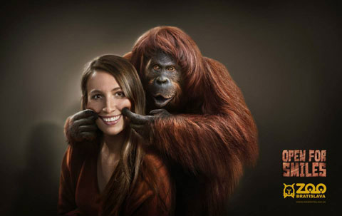 zoo3