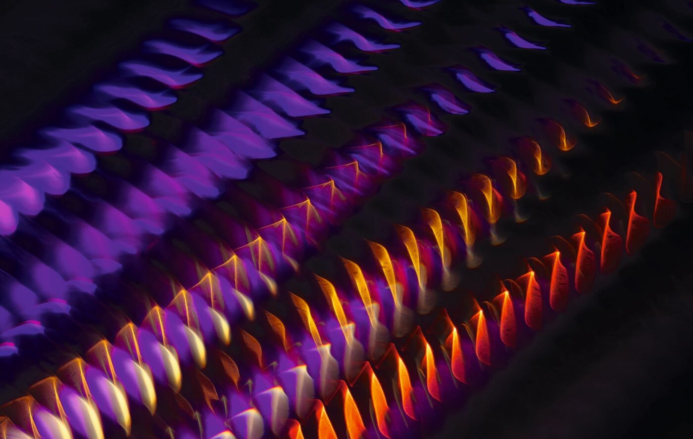 Bild: unsplash.com / Meagan Carscience