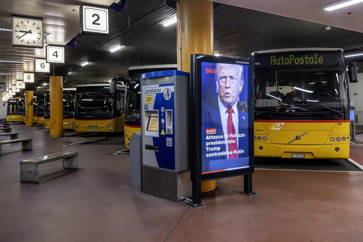 Public transport, Bus, Person