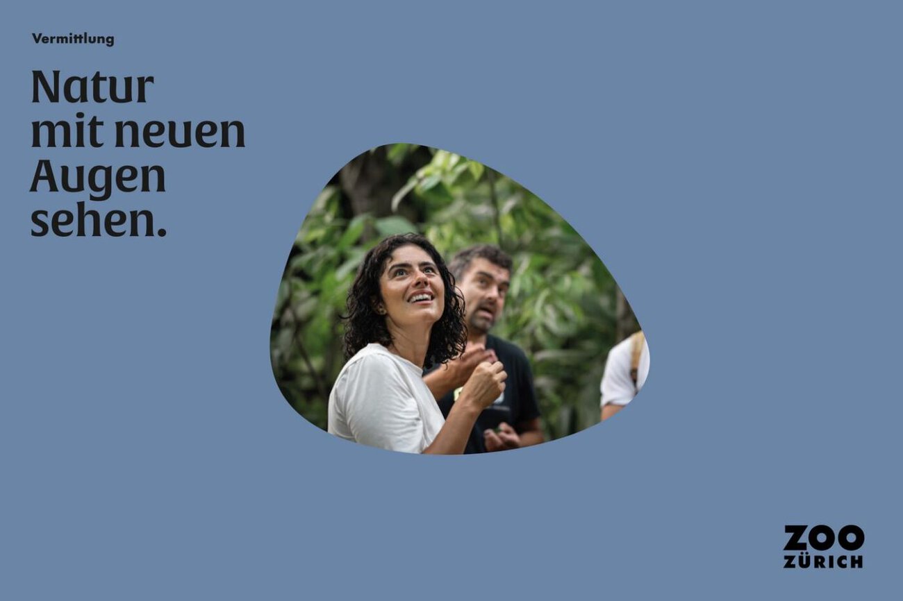 Der Zoo Zürich setzt auf Wissensvermittlung. Quelle: zvg